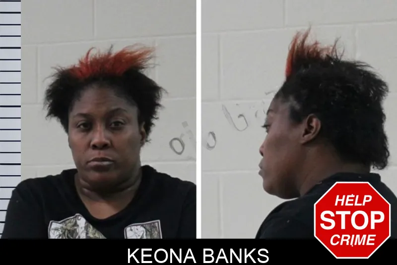 Keona Banks mugshot – Houston County , Georgia Keona Banks mugshot