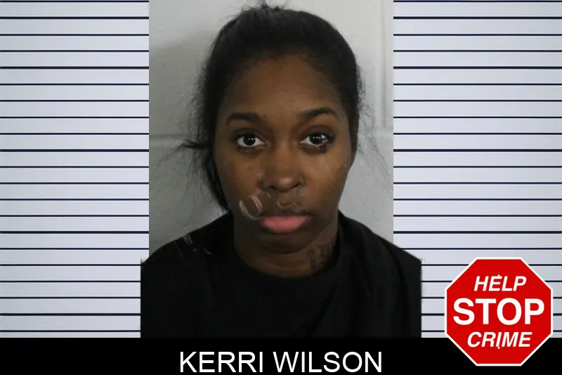 Kerri Wilson mugshot – Floyd County , Georgia Kerri Wilson mugshot