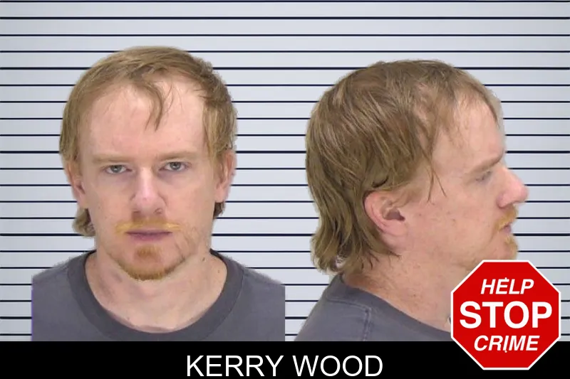 Kerry Wood mugshot