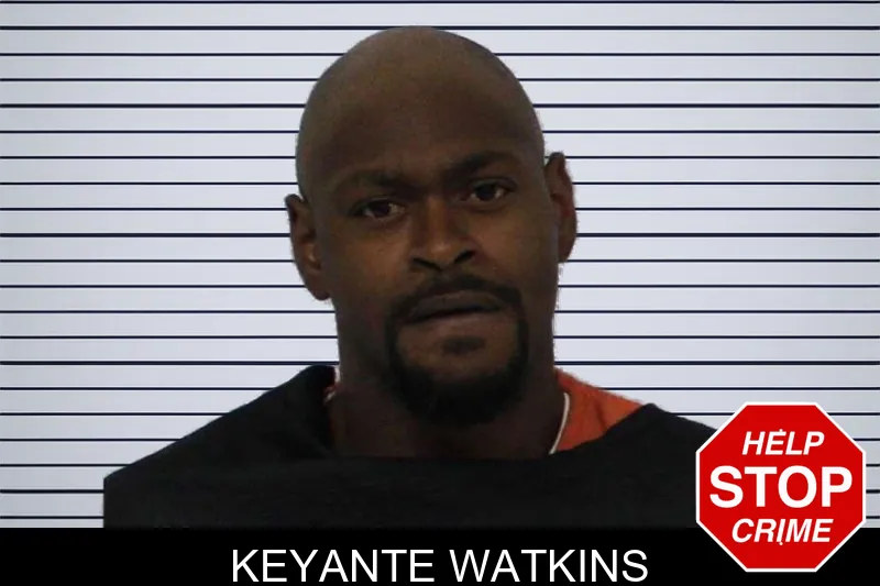 Keyante Watkins mugshot – Carroll County , Georgia Keyante Watkins mugshot