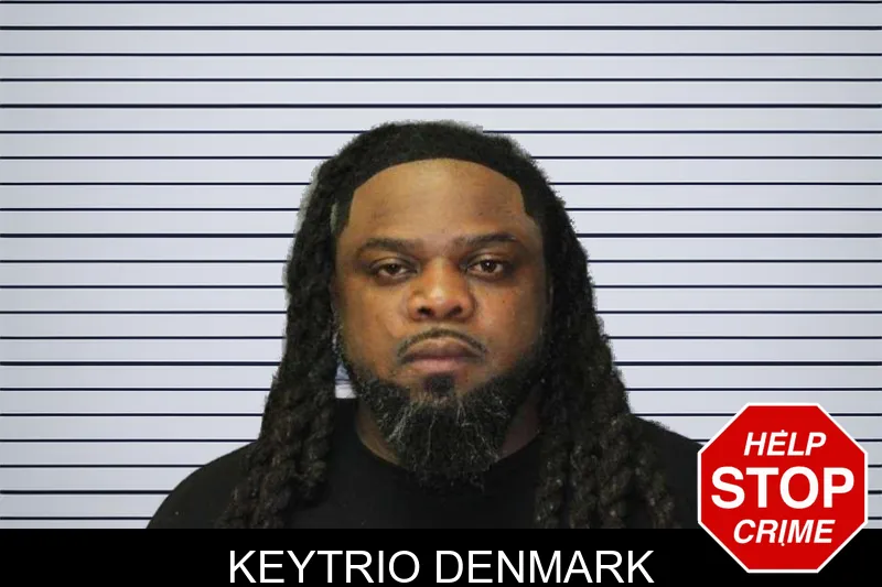 Keytrio Denmark mugshot