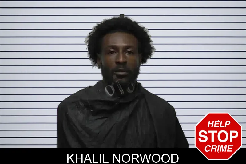 Khalil Norwood mugshot – Pike County , Georgia Khalil Norwood mugshot