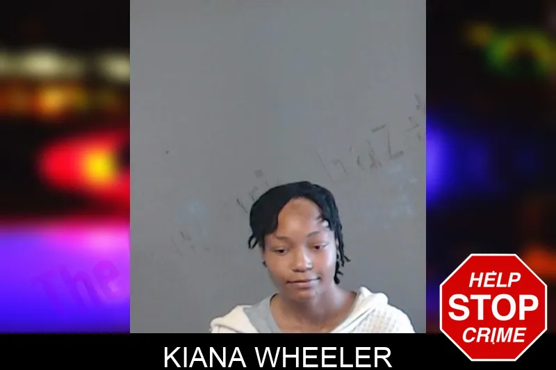 Kiana Wheeler mugshot – DeKalb County , Georgia Kiana Wheeler mugshot