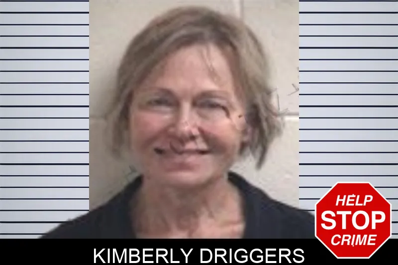 Kimberly Driggers mugshot – Henry County , Georgia Kimberly Driggers mugshot