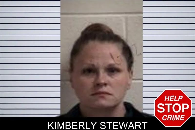 Kimberly Stewart mugshot – Henry County , Georgia Kimberly Stewart mugshot