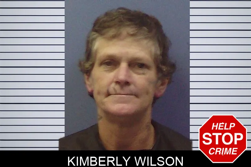 Kimberly Wilson mugshot – Chattooga County , Georgia Kimberly Wilson mugshot