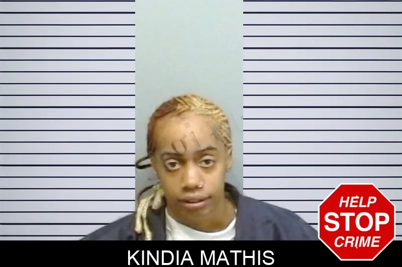Kindia Mathis mugshot – Fulton County , Georgia Kindia Mathis mugshot