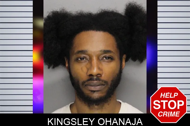 Kingsley Ohanaja mugshot