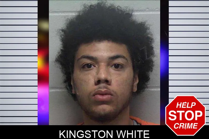 Kingston White mugshot – Laurens County , Georgia Kingston White mugshot