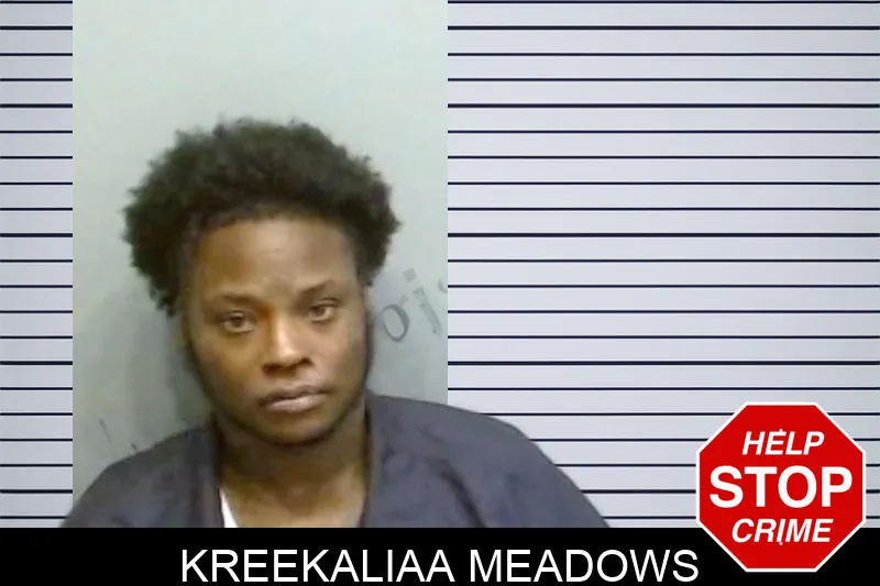 Kreekaliaa Meadows mugshot – Fulton County , Georgia Kreekaliaa Meadows mugshot
