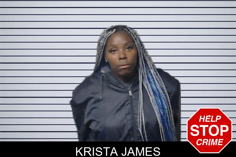 Krista James mugshot – DeKalb County , Georgia Krista James mugshot