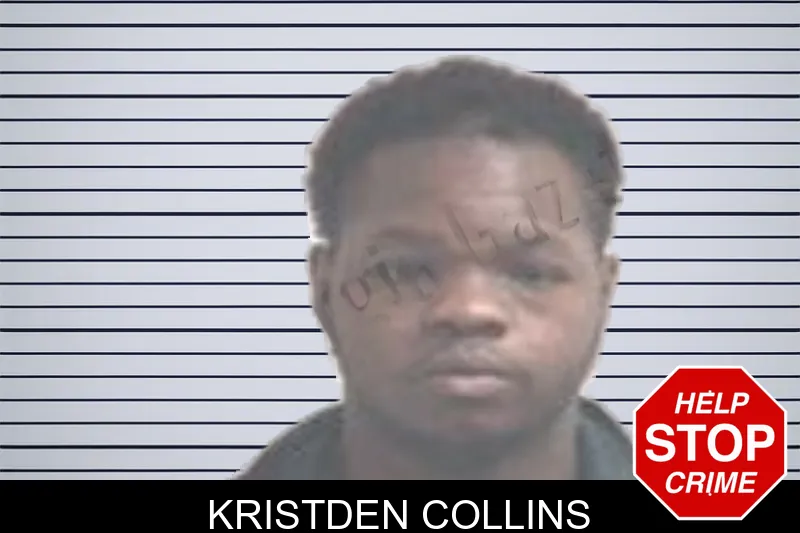 Kristden Collins mugshot