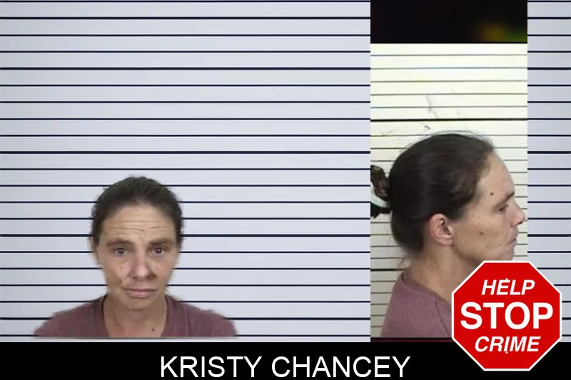 Kristy Chancey mugshot – Camden County , Georgia Kristy Chancey mugshot