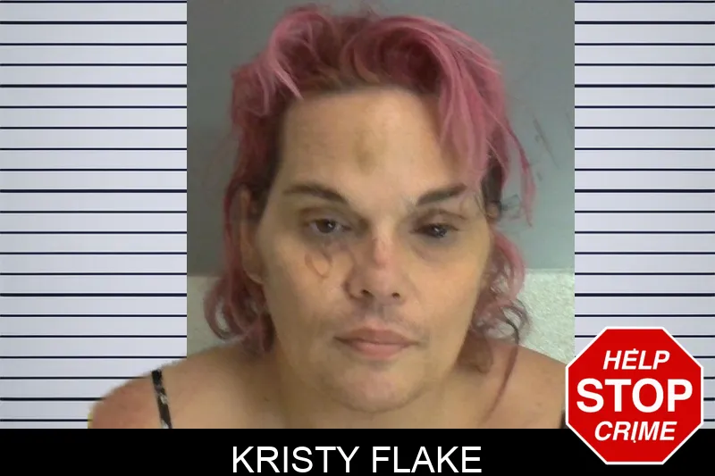 Kristy Flake mugshot