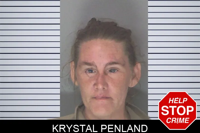 Krystal Penland mugshot – Douglas County , Georgia Krystal Penland mugshot