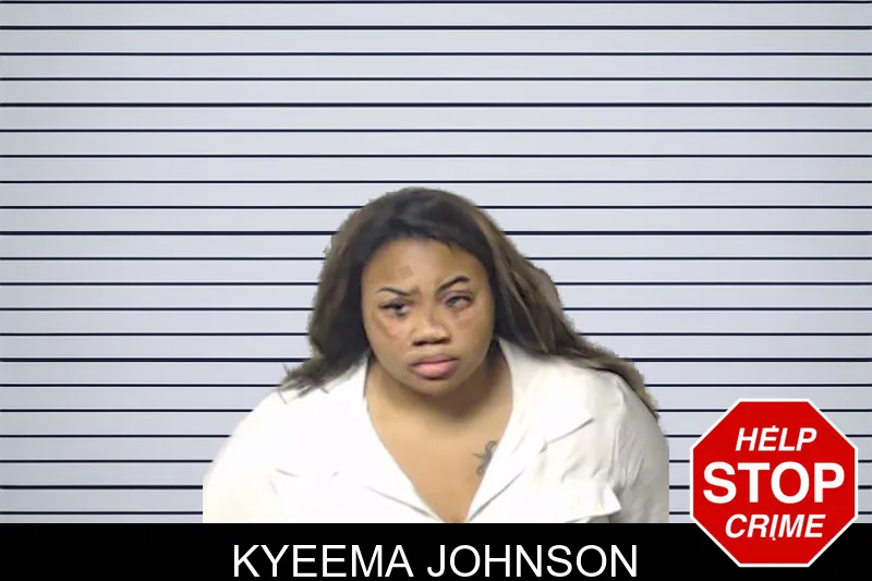 Kyeema Johnson mugshot – DeKalb County , Georgia Kyeema Johnson mugshot