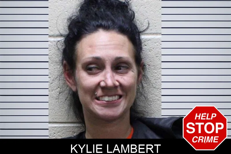 Kylie Lambert mugshot – Haralson County , Georgia Kylie Lambert mugshot