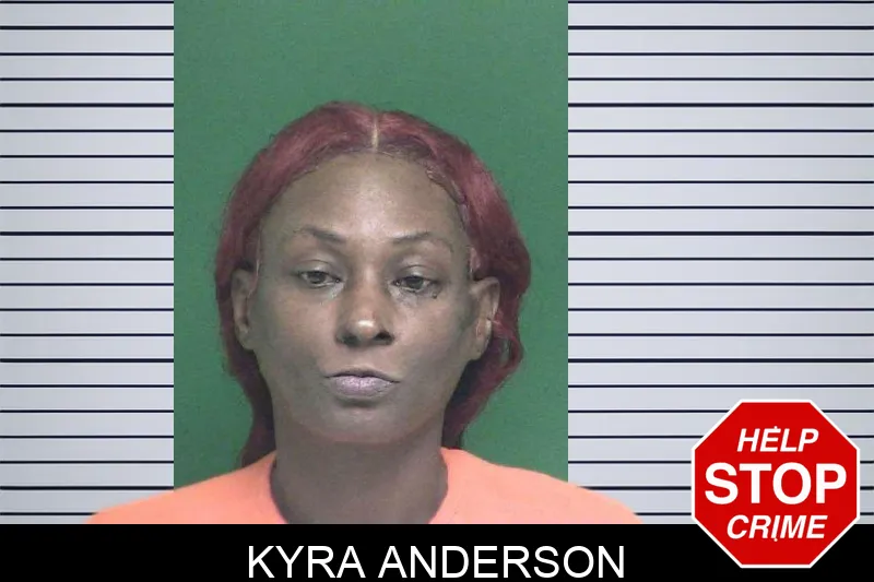 Kyra Anderson mugshot – Appling County , Georgia Kyra Anderson mugshot