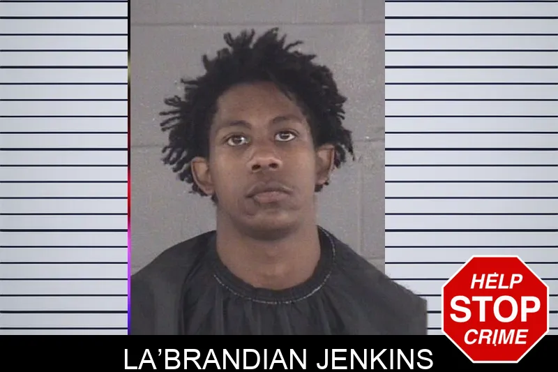 La’Brandian Jenkins mugshot – Spalding County , Georgia La’Brandian Jenkins mugshot