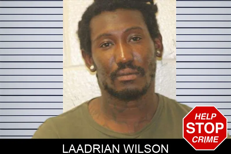 Laadrian Wilson mugshot