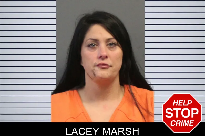 Lacey Marsh mugshot – Lumpkin County , Georgia Lacey Marsh mugshot