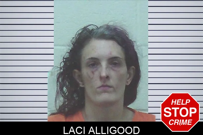 Laci Alligood mugshot