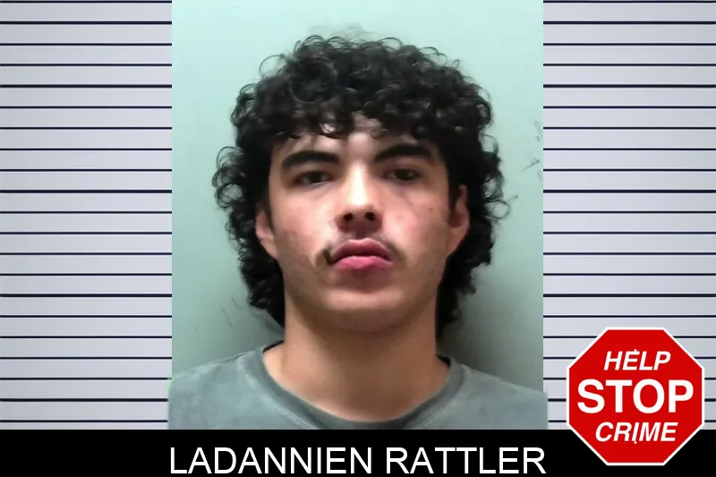 Ladannien Rattler mugshot – Towns County , Georgia Ladannien Rattler mugshot