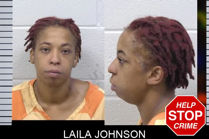 Laila Johnson mugshot – Paulding County , Georgia Laila Johnson mugshot