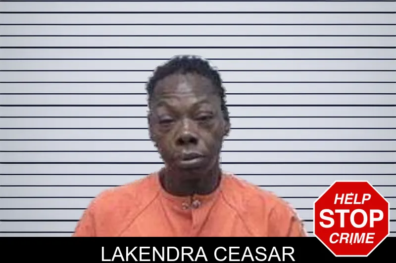 Lakendra Ceasar mugshot – Tattnall County , Georgia Lakendra Ceasar mugshot