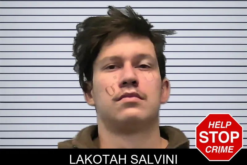 Lakotah Salvini mugshot – Ware County , Georgia Lakotah Salvini mugshot
