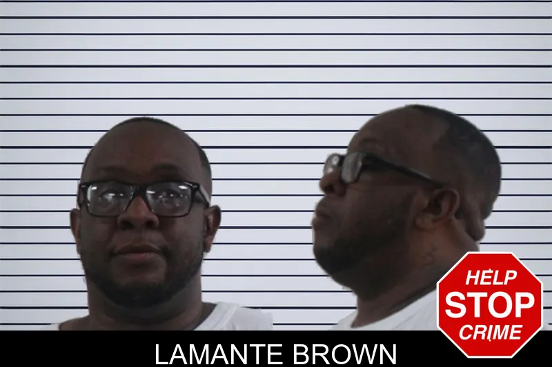 Lamante Brown mugshot – Houston County , Georgia Lamante Brown mugshot