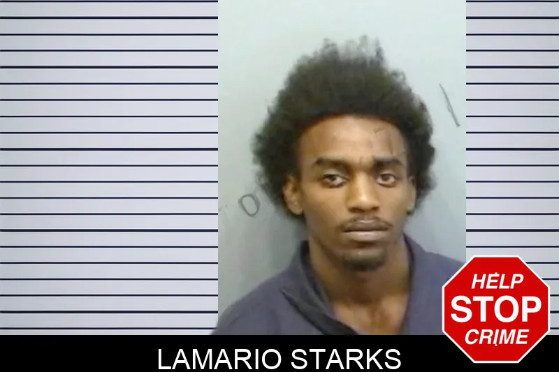 Lamario Starks mugshot – Fulton County , Georgia Lamario Starks mugshot
