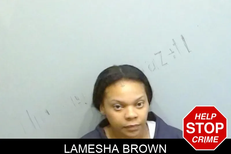 Lamesha Brown mugshot – Fulton County , Georgia Lamesha Brown mugshot