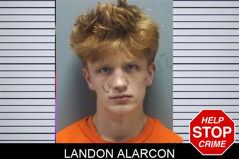 Landon Alarcon mugshot – Cherokee County , Georgia Landon Alarcon mugshot