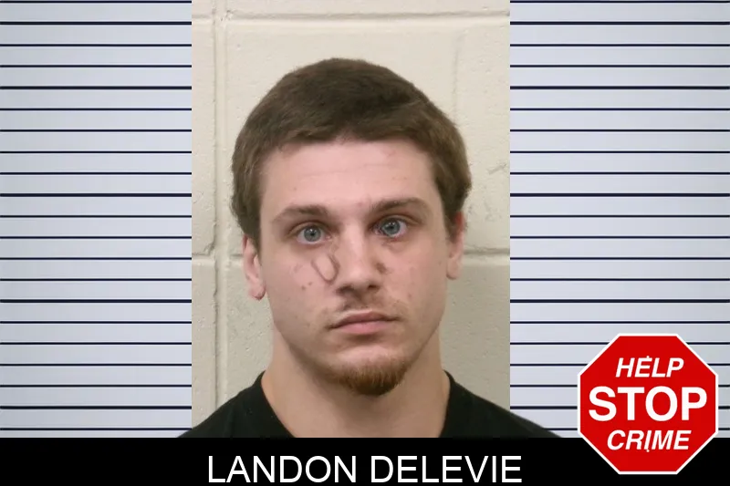 Landon Delevie mugshot
