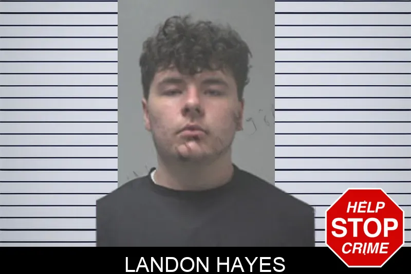 Landon Hayes mugshot – Coweta County , Georgia Landon Hayes mugshot