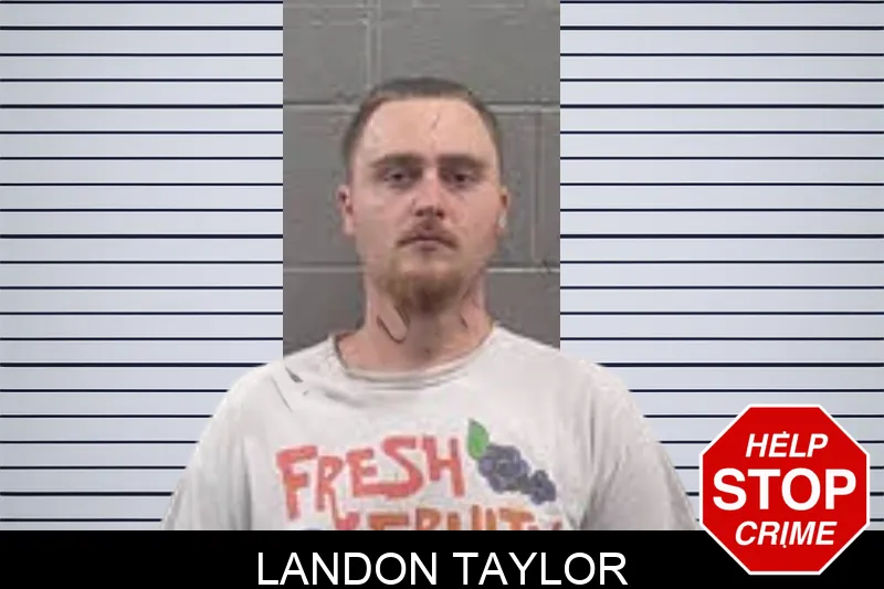 Landon Taylor mugshot