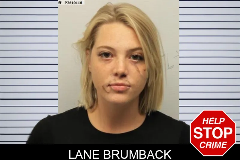 Lane Brumback mugshot – Chatham County , Georgia Lane Brumback mugshot