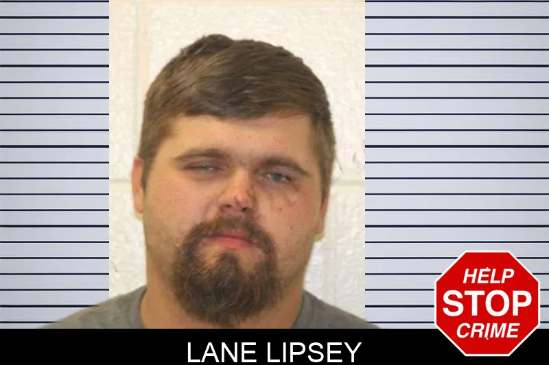 Lane Lipsey mugshot – Jones County , Georgia Lane Lipsey mugshot