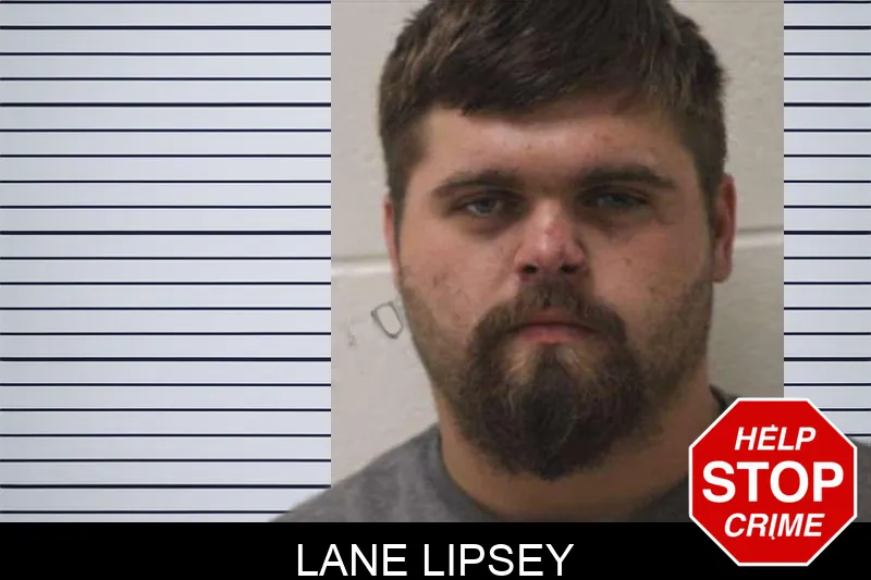 Lane Lipsey mugshot