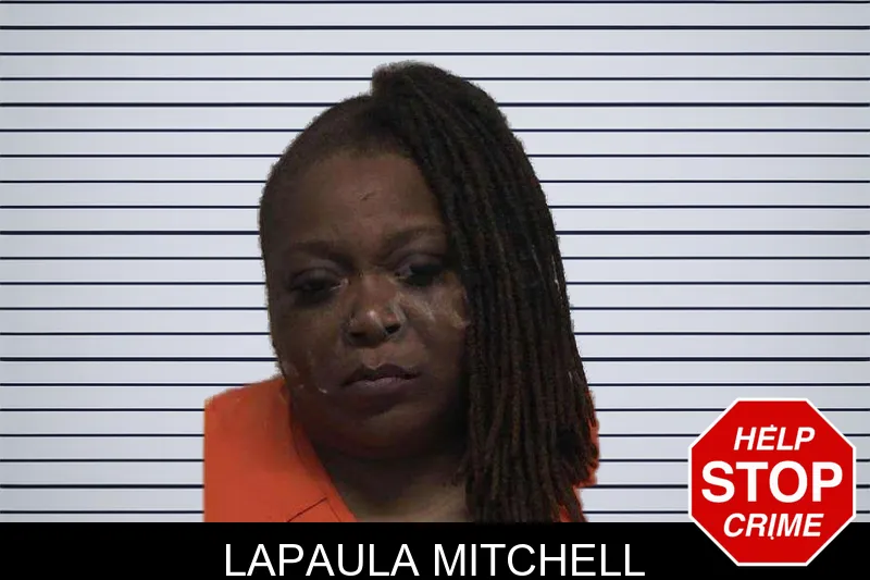 Lapaula Mitchell mugshot – Laurens County , Georgia Lapaula Mitchell mugshot