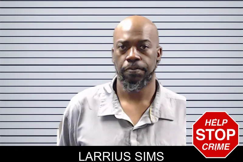 Larrius Sims mugshot
