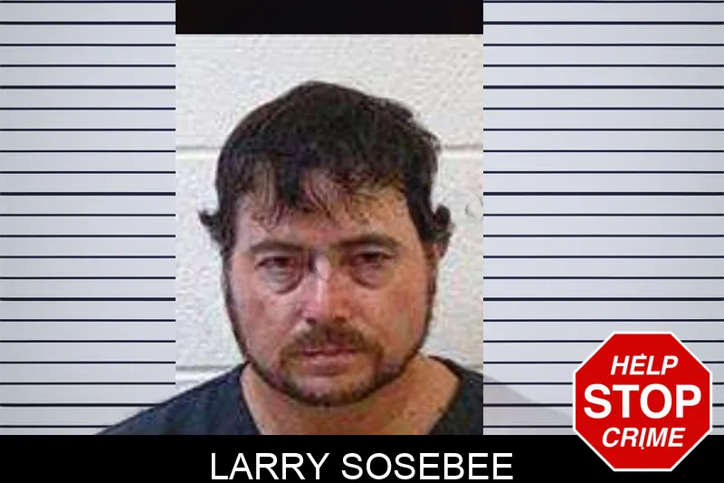 Larry Sosebee mugshot