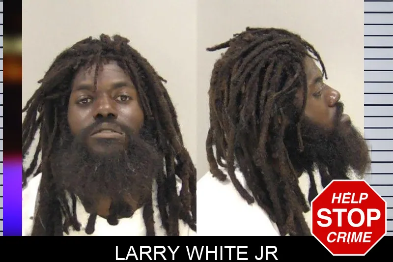 Larry White Jr mugshot