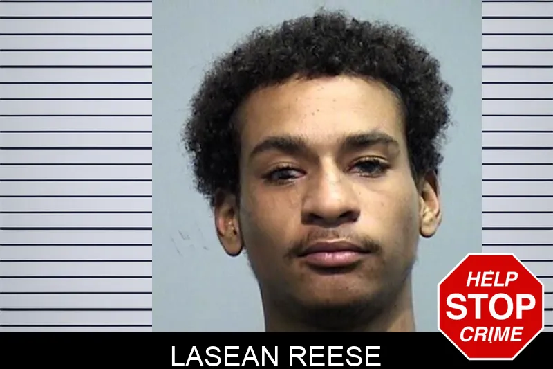 Lasean Reese mugshot – Effingham County , Georgia Lasean Reese mugshot