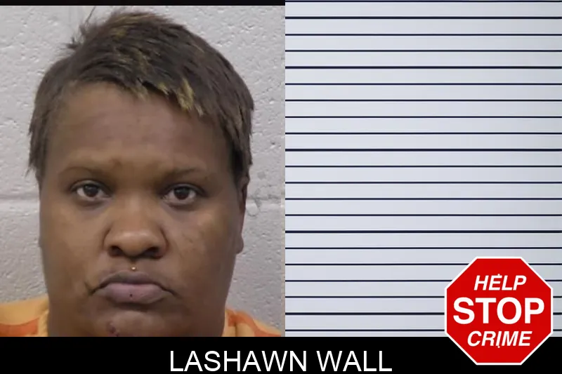 Lashawn Wall mugshot – Paulding County , Georgia Lashawn Wall mugshot
