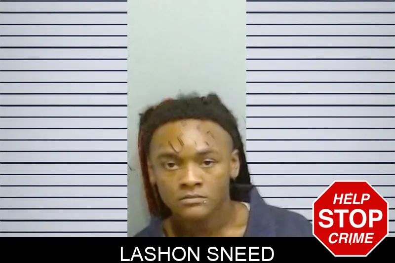 Lashon Sneed mugshot – Fulton County , Georgia Lashon Sneed mugshot