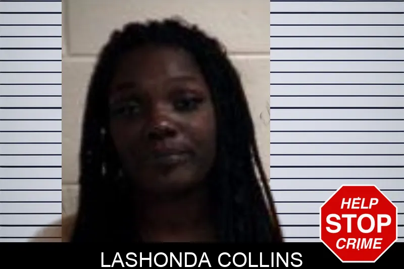 Lashonda Collins mugshot – Henry County , Georgia Lashonda Collins mugshot