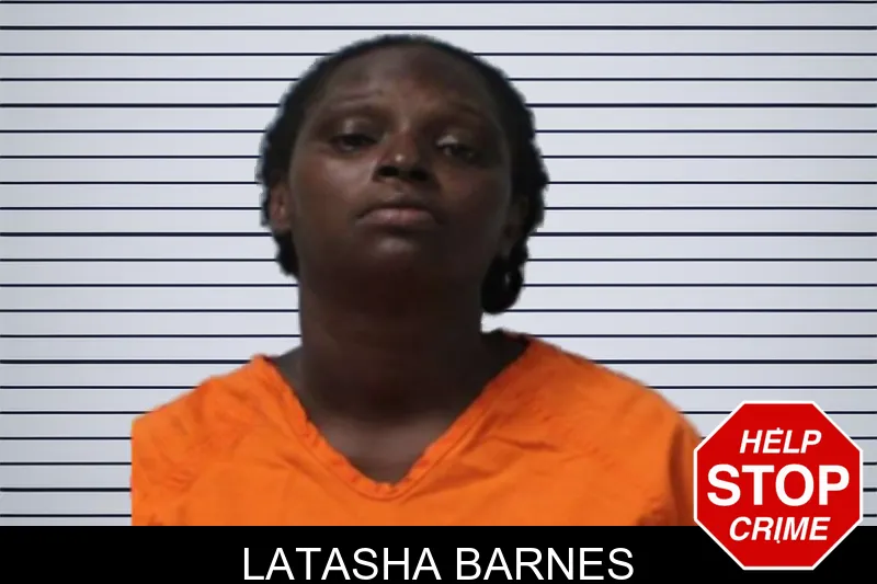 Latasha Barnes mugshot – Seminole County , Georgia Latasha Barnes mugshot