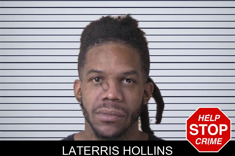Laterris Hollins mugshot